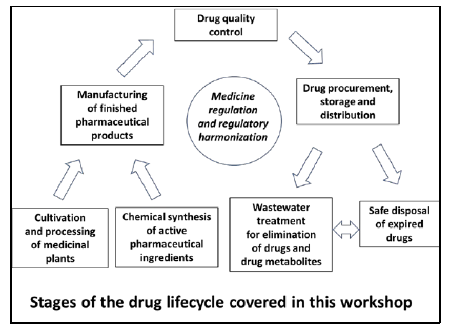 Stages of the drug lifecycle covered in the workshop Stages of the drug lifecycle covered in the workshop